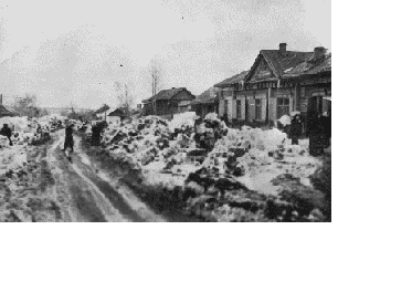 Базар в селе Троицком — он был известен всему Бийскому округу. Сюда везли зерно, мясо и деготь не только жители окрестны